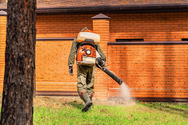 Bed Bug Clearance Verification and Documentation in Edinburg